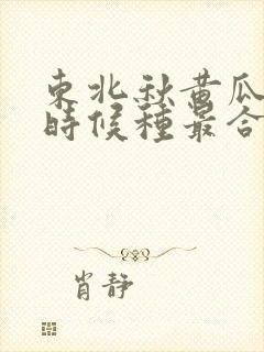 东北秋黄瓜什么时候种最合适