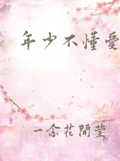 年少不懂爱