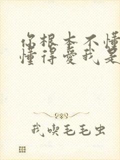 你根本不懂得不懂得爱我是什么歌