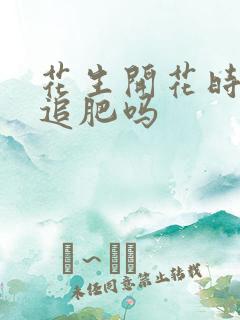 花生开花时可以追肥吗