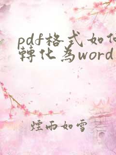 pdf格式如何转化为word文档