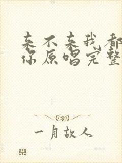 来不来我都在等你原唱完整版