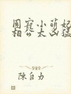 团宠小萌妃王爷相公太凶猛全集完整版