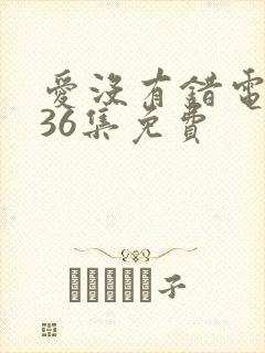 爱没有错电视剧36集免费