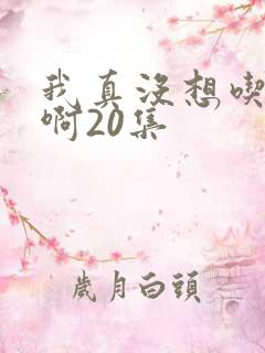 我真没想吃软饭啊20集