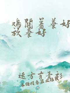 鸡关着养好还是放养好