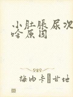 小肚胀尿次数多啥原因