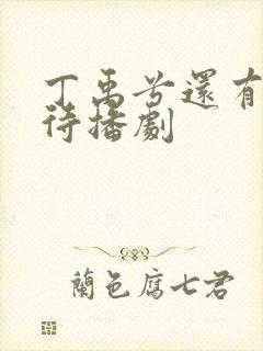 丁禹兮还有6部待播剧