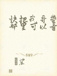 快把我哥带走在哪里可以看