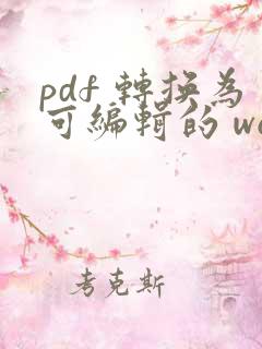 pdf 转换为可编辑的 word 文件