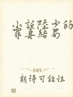 小说陆少的隐婚罪妻结局