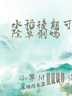 水稻后期可以打除草剂吗