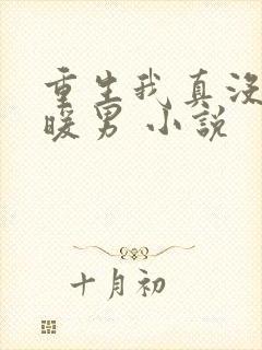 重生我真没想当暖男 小说