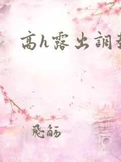 高h露出调教文