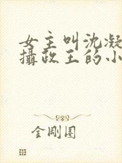 女主叫沈凝男主摄政王的小说