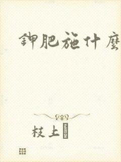 钾肥施什么肥料