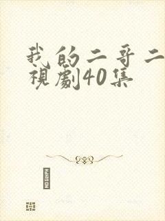 我的二哥二嫂电视剧40集