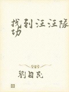 找到汪汪队立大功