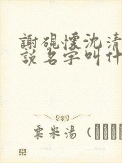 谢砚怀沈清筠小说名字叫什么