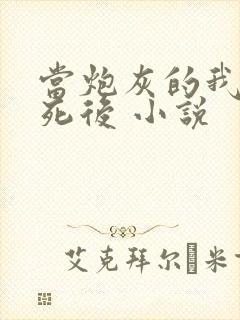 当炮灰的我替身死后 小说