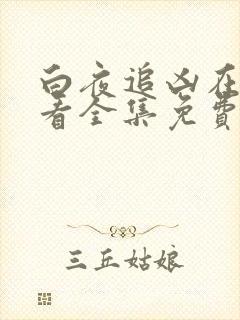 白夜追凶在线观看全集免费播放