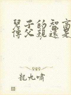 儿子的智商是遗传父亲还是母亲
