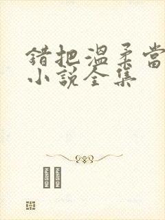 错把温柔当情深小说全集