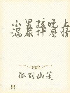 小男孩晚上睡觉漏尿什么情况