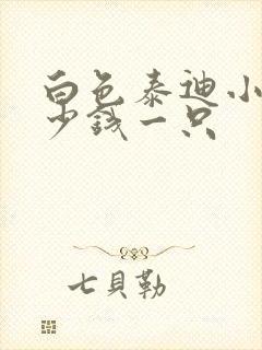 白色泰迪小狗多少钱一只