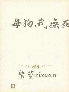 母狗,我操死你