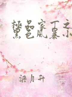 极品家丁之征服黑色风暴小说阅读