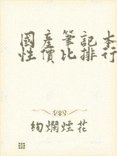 国产笔记本电脑性价比排行榜前十名