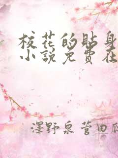 校花的贴身高手小说免费在线听书