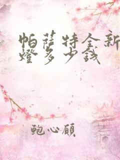 帕萨特全新前大灯多少钱