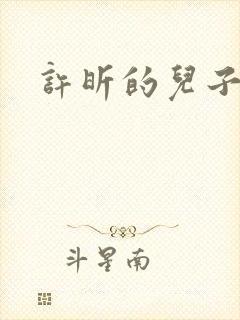 许昕的儿子