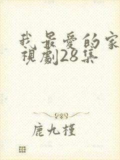 我最爱的家人电视剧28集