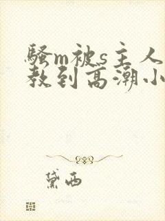 骚m被s主人调教到高潮小说