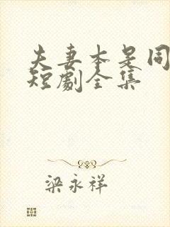 夫妻本是同林鸟短剧全集