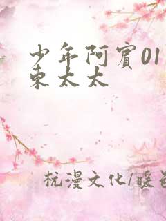 少年阿宾01房东太太