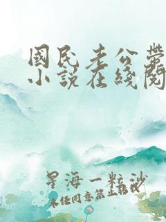 国民老公带回家小说在线阅读