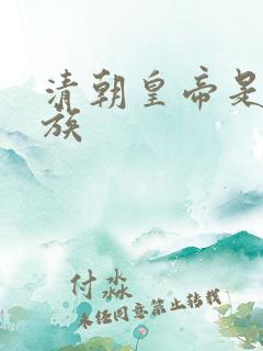 清朝皇帝是什么族