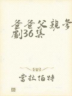爸爸父亲爹电视剧36集