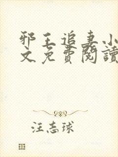 邪王追妻小说全文免费阅读完整版