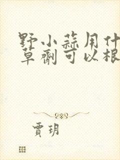 野小蒜用什么除草剂可以根除