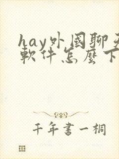 hay外国聊天软件怎么下载
