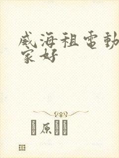 威海租电动车哪家好