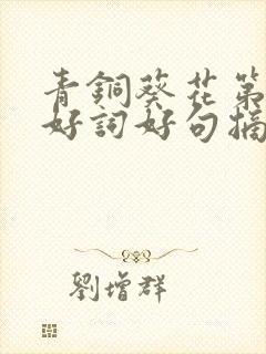 青铜葵花第五章好词好句摘抄