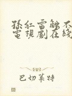 孙红雷触不可及电视剧在线