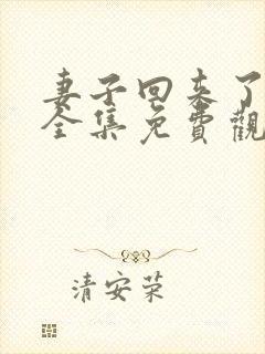 妻子回来了韩剧全集免费观看