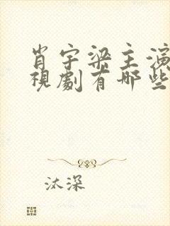 肖宇梁主演的电视剧有哪些